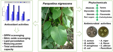 Chemical Composition, Antioxidative and Antimicrobial Activities of Different Extracts of the Leaves of Parquetina nigrescens (Asclepiadaceae) 