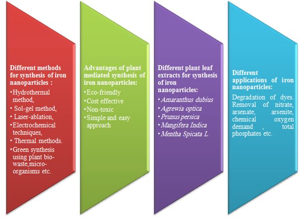 Plant mediated synthesis of Iron nanoparticles and their Applications: A Review 