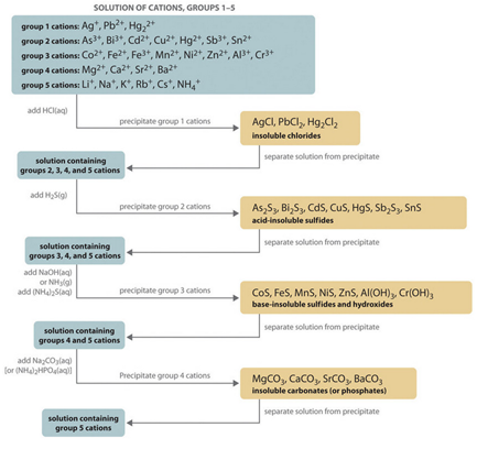 Metal Ions of Cations and Anions Separation and Detection Approach 